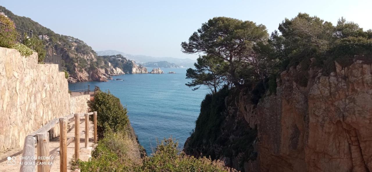 Villa Blanca 10 Minutos De La Playa Costa Brava Massanet De La Selva Exteriér fotografie